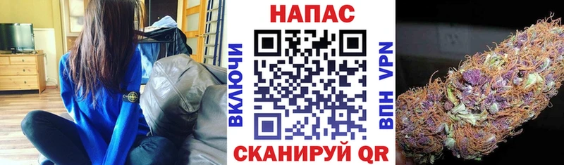 Где можно купить наркотики Южно-Сухокумск Бошки Шишки  АМФЕТАМИН  ГАШ  Меф мяу мяу  Кокаин 