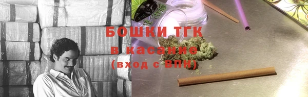 эйфоретик Арсеньев