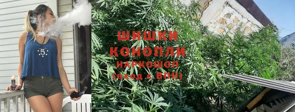 эйфоретик Арсеньев