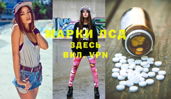 гидра Аркадак