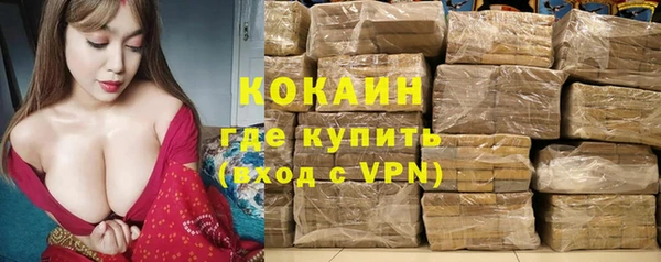 гидра Аркадак