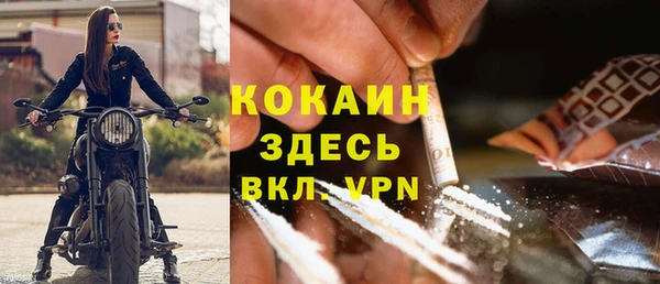 spice Алзамай