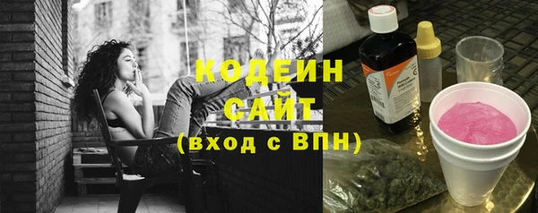 эйфоретик Арсеньев