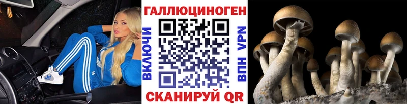 где продают наркотики  Южно-Сухокумск  Псилоцибиновые грибы Magic Shrooms 
