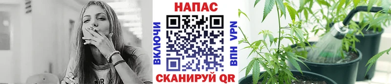 Канабис MAZAR Южно-Сухокумск